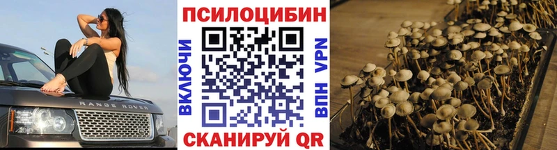 Галлюциногенные грибы мицелий  Купить  Заречный 